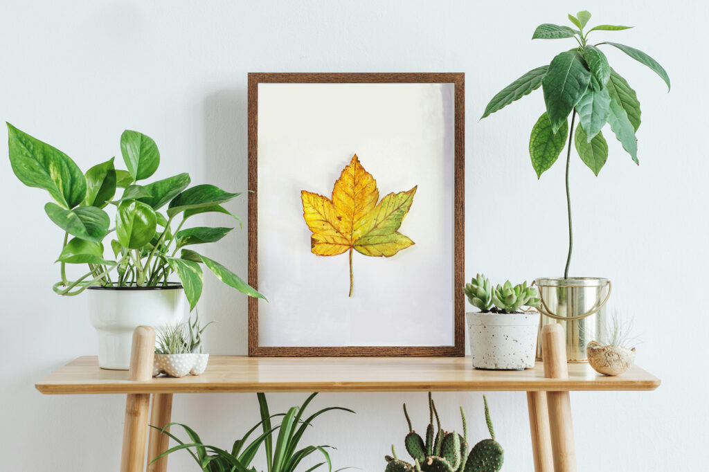 Bladportræt i miljø